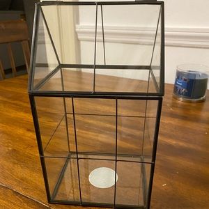 The Bloom Room Glass Terrarium